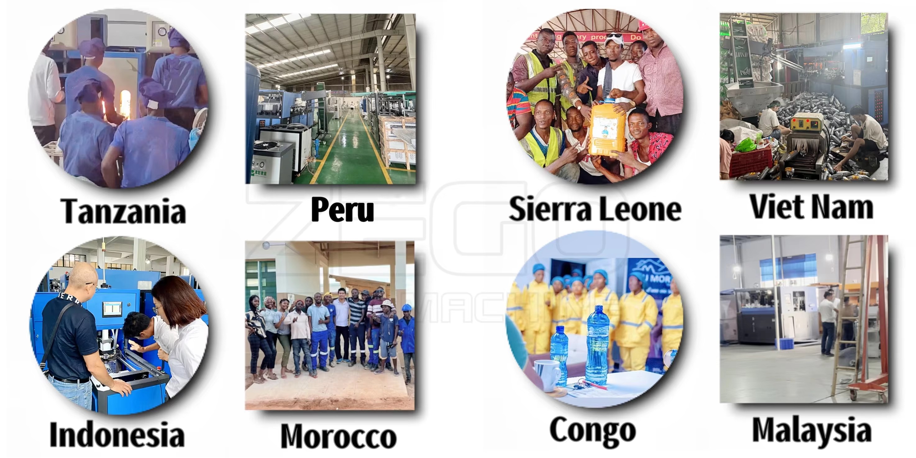 H02f43a077013464f82a3184c5fed7409T